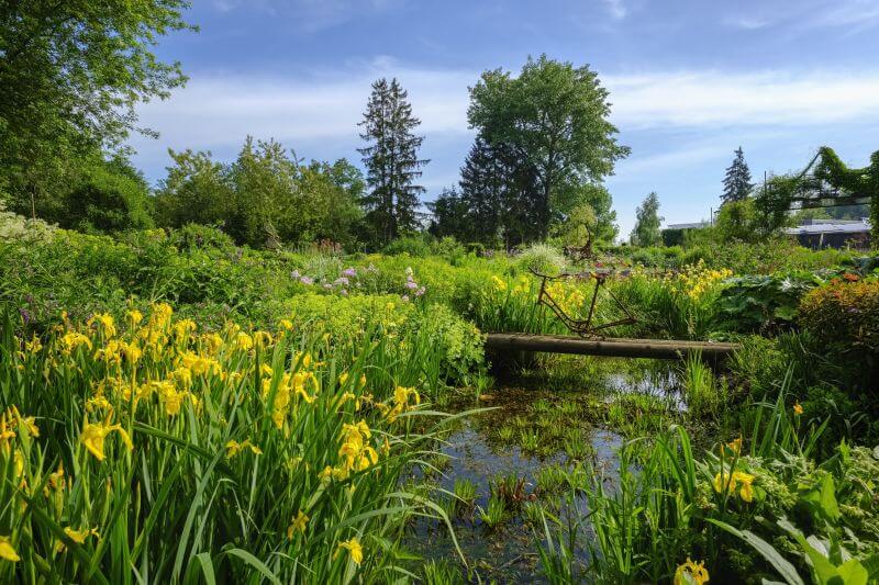 Bild von Abbas Cerci Garten- und Landschaftsbau
